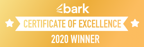 cert-excellence-2020-large